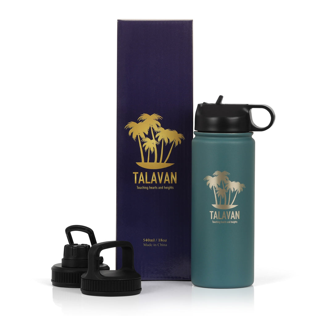 Thermos 18oz teal